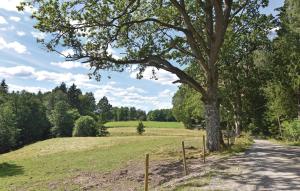 a tree on the side of a dirt road at 2 Bedroom Stunning Home In Prässebo in Eckerud