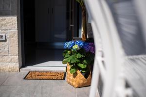 Фотография из галереи Thronos Aqua Appartment 1 в городе Пахия Аммос