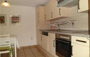 eine Küche mit Spüle und Herd oberen Backofen in der Unterkunft Gorgeous Apartment In Mühlhausen in Rocklinghausen
