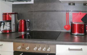 a kitchen with two red pots on a stove at Gorgeous Home In Breegejuliusruh in Juliusruh