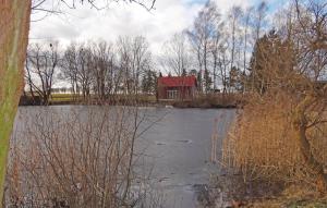 une maison au milieu d'un lac avec un toit rouge dans l'établissement Stunning Home In Gnoien Ot Dlitz With Wifi, à Gnoien