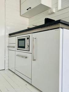a microwave on top of a refrigerator in a kitchen at Seehütte Strandhaus direkt im Neusiedler See in Rust