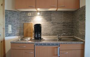 Η κουζίνα ή μικρή κουζίνα στο Cozy Apartment In Thulendorfsagerheide