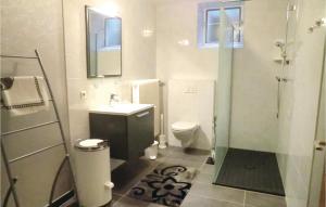 ein Bad mit einem WC, einem Waschbecken und einer Dusche in der Unterkunft Awesome Apartment In Rodershausen With Wifi in Rodershausen