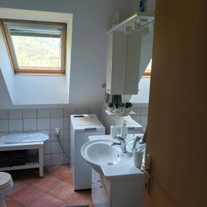 a bathroom with a sink and a washing machine at MMMM in Bovec