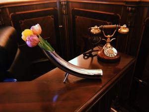 Fotografie z fotogalerie ubytování Picasso Boutique Hotel v destinaci Arad