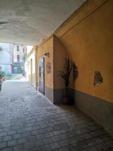 an empty alley with a plant on the side of a building at Garsoniera Vivere in Sibiu