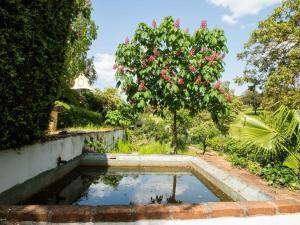 una piscina de agua en un jardín con un árbol en Country mansion in Montemor o Novo Alentejo with shared pool en Montemor-o-Novo