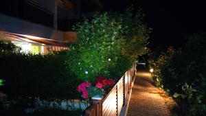 A garden outside Byala-apartment-valmira