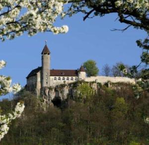 a castle sitting on top of a mountain at Ferienwohnung Barner - KEINE MONTEURE in Owen
