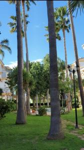 Zahrada ubytování Lovely Apartment in Denia; El Patio