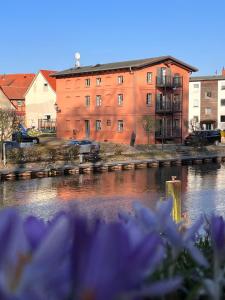 a large red building next to a river with purple flowers at Eldenhof in Plau am See