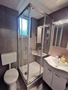 La salle de bains est pourvue d'une douche, de toilettes et d'un lavabo. dans l'établissement Apartments Bassanese, à Bled