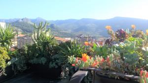 Φωτογραφία από το άλμπουμ του Fantastic Large House with Beautiful Roof Terraces σε Cuglieri