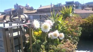 Φωτογραφία από το άλμπουμ του Fantastic Large House with Beautiful Roof Terraces σε Cuglieri