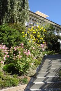 a garden with pink and yellow flowers in front of a building at Ferienwohnung Jepsen in Glücksburg