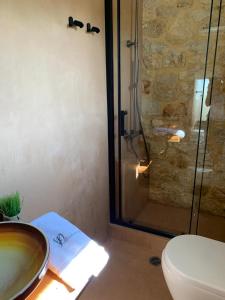 a bathroom with a shower and a toilet and a sink at Villa Danae in Meganisi