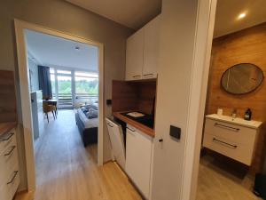 Habitación con cocina y sala de estar. en Harz Enjoy - Vier Jahreszeiten, en Hahnenklee-Bockswiese