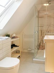 a bathroom with a glass shower and a toilet at Traumhafter Nordseeurlaub im modernen Ferienhaus mit großem Garten, Kamin und Strandkorb in Werdum