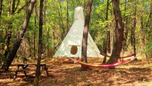 une tente au milieu d'une forêt avec une table de pique-nique dans l'établissement Grand tipis confortable, authentique chalets en rondins et belle maison Périgourdine avec piscine et vue Lascaux en Périgord, à Les Farges