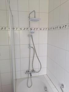 a shower with a shower head in a bathroom at FeWo Baltrum in Roggenstede in Dornum