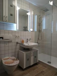 e bagno con lavandino, servizi igienici e doccia. di Ferienwohnung Dana a Murnau am Staffelsee