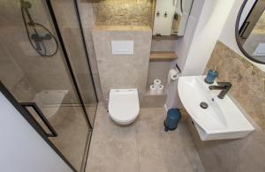a bathroom with a shower and a toilet and a sink at Urban Jungle klimatyczny apartament w centrum in Białystok +9 photos