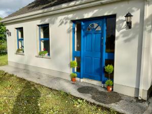 eine blaue Tür in einem weißen Haus mit Topfpflanzen in der Unterkunft Lemonade cottages in Kilmurry McMahon