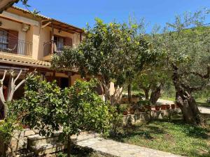 ein Haus mit Bäumen davor in der Unterkunft Oliveto e mare in Syvota