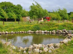 a pond in the middle of a field with rocks at Dartmoor Reach Alpaca Farm Heated Cabins in Bovey Tracey