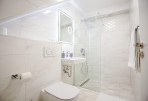 a bathroom with a shower and a toilet and a sink at Lions Heritage Rooms in Split +16 photos