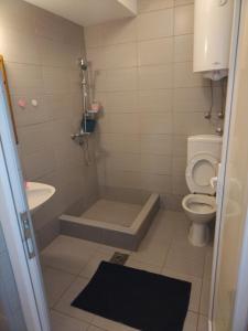 a bathroom with a shower and a toilet and a sink at Loznica, Venera sobe in Ploča