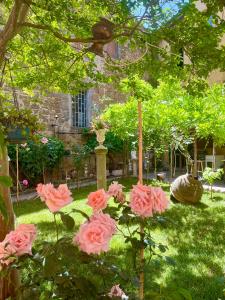 A garden outside B&B 'Degli Artisti'