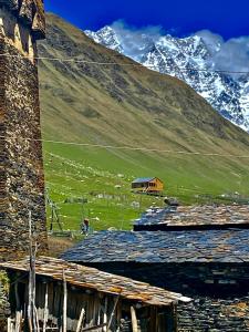 a barn in a field with a mountain at Nizharadze's Tower in Ushguli