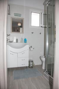 a bathroom with a shower and a sink and a toilet at Nemo 2 in Xi