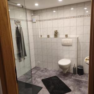 La salle de bains est pourvue de toilettes et d'une douche en verre. dans l'établissement Zum Buchenblick, à Saint-Wendel
