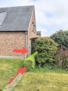 Giardino di Ontdek Brugge en Vlaanderen!