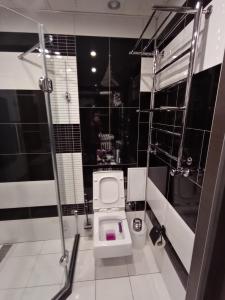 a bathroom with a white toilet and black tiles at Apartment at Kvitka Polonyny in Solochin