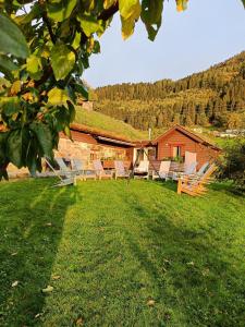 Příroda nedaleko prázdninového domu