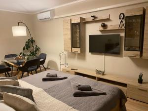 1 dormitorio con 2 camas y TV de pantalla plana en Centrum Apartman, en Kaposvár