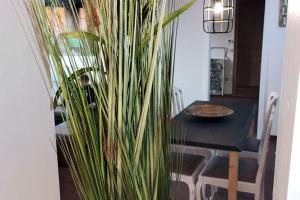 Cucina o angolo cottura di Ontdek Brugge en Vlaanderen!
