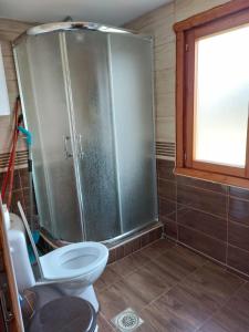 a bathroom with a shower and a toilet at Log Cabin in Strezovce in Kumanovo