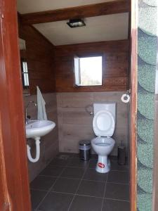 a small bathroom with a toilet and a sink at Log Cabin in Strezovce in Kumanovo