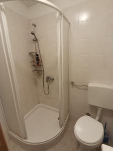 a bathroom with a shower with a toilet and a sink at Charming Traditional Townhouse - Holiday Home Kata in Jezera