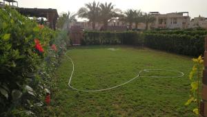 A garden outside شاليه ارضى بحديقه بقريه ديمورا بالساحل الشمالي كيلو ٧٥