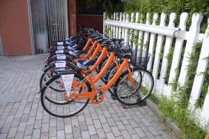 Jízda na kole v ubytování Hotel Piccadilly nebo okolí