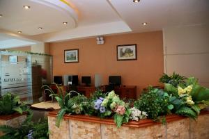 Lobbyen eller receptionen på Hotel Princesa