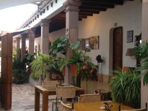 une terrasse avec des plantes, une table et des chaises dans l'établissement Hotel-Boutique La Casa De Los Recuerdos, à Zitácuaro