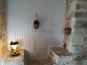 een kamer met een potplant op een muur bij La maison d'iréne in Soturac