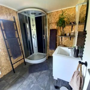 a bathroom with a shower and a sink at La cabane au fond du jardin in Le Massegros